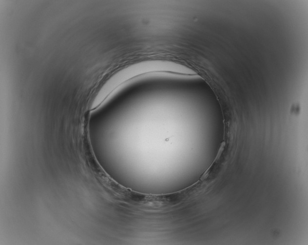 X0000113080368200909111009