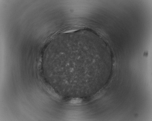 X0000113080369200909111009