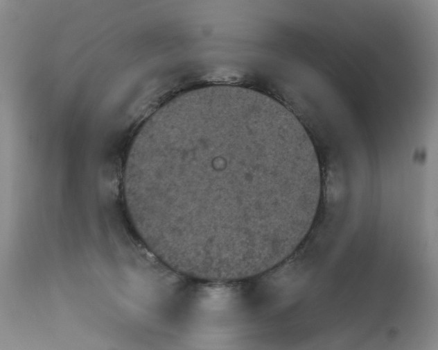 X0000113080370200909111009