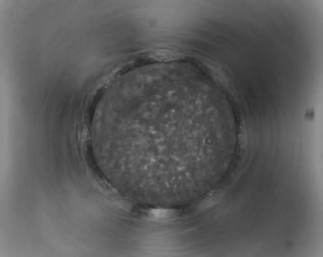 X0000113080371200909111009