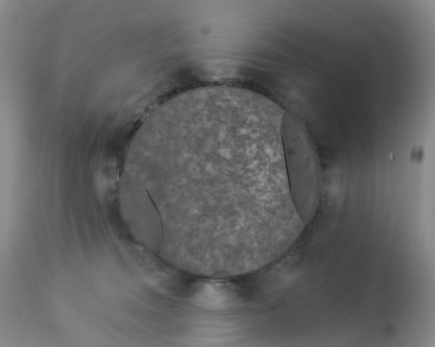 X0000113080372200909111009