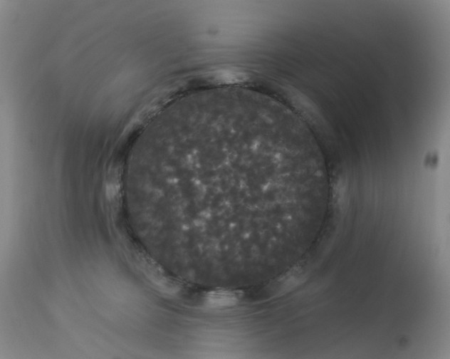 X0000113080373200909111009