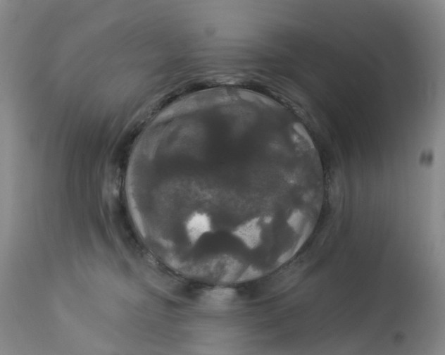 X0000113080374200909111009