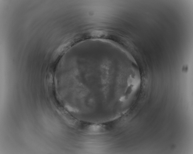 X0000113080375200909111009