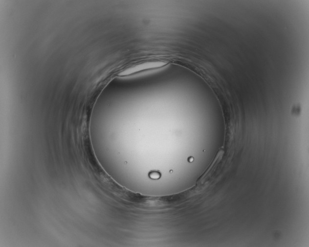 X0000113080376200909111009