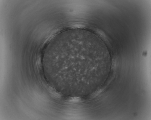 X0000113080377200909111009