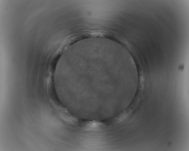 X0000113080379200909111009