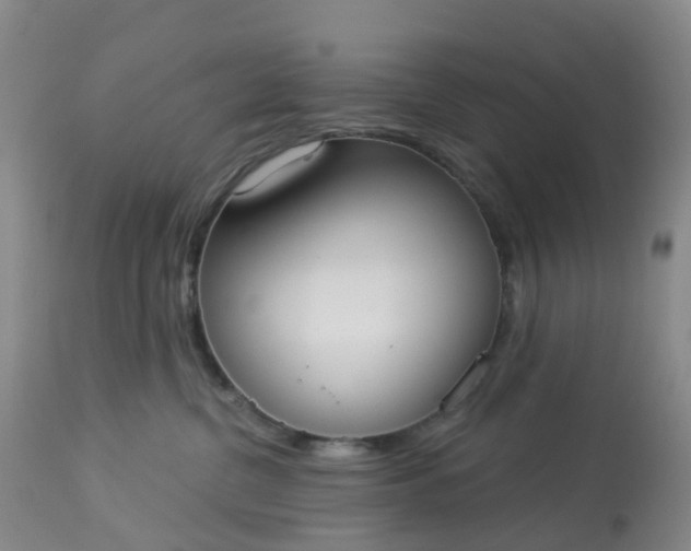 X0000113080380200909111009