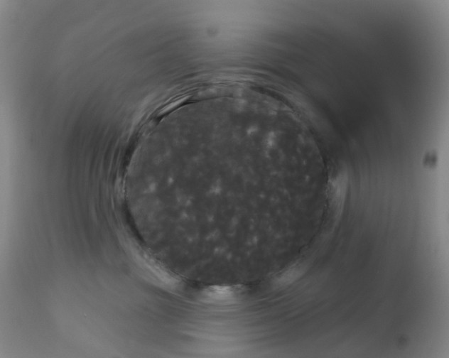 X0000113080381200909111009