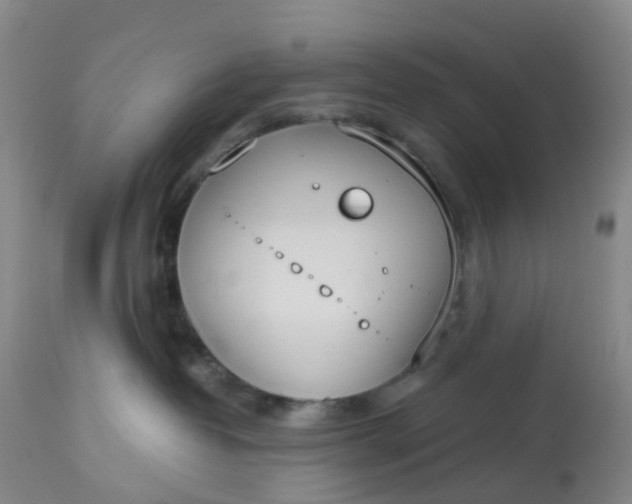 X0000113080382200909111009