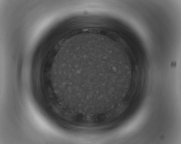 X0000113080383200909111009