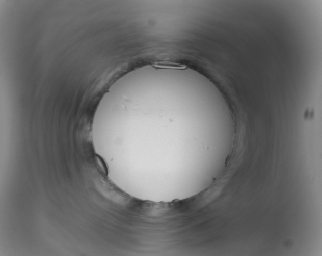 X0000113080384200909111009