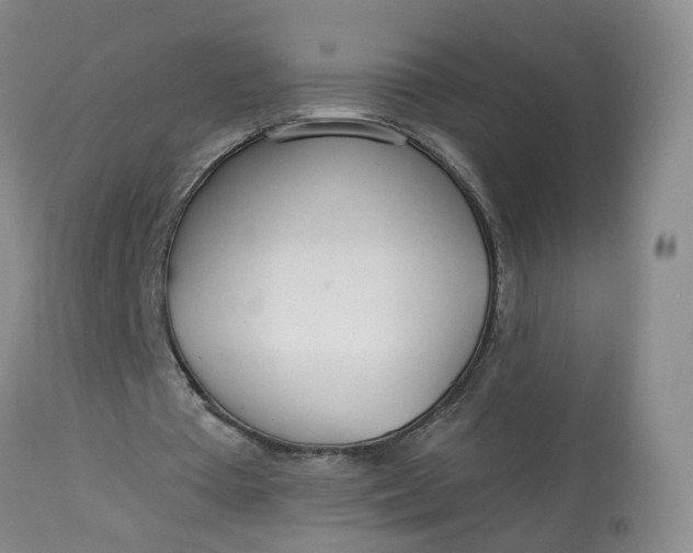 X0000113080385200909111008