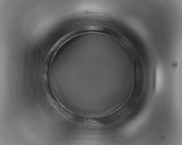 X0000113080387200909111008