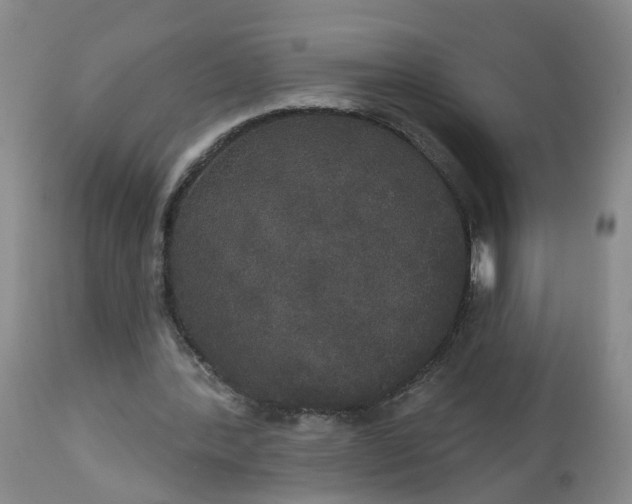 X0000113080388200909111008