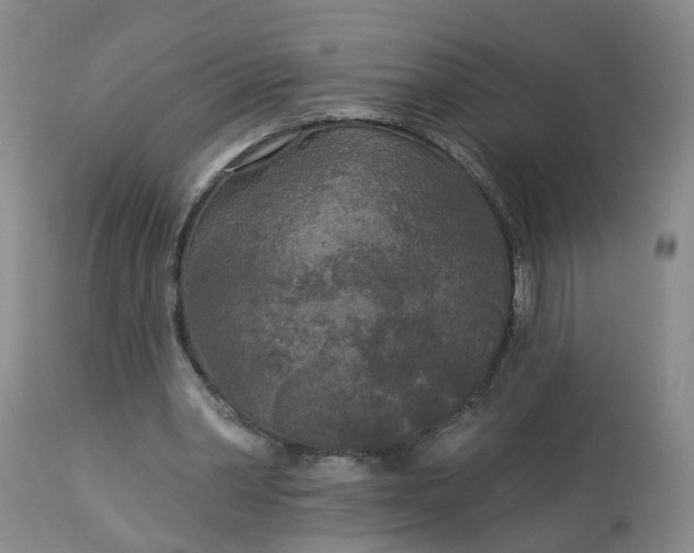 X0000113080390200909111008