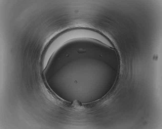 X0000113080391200909111008