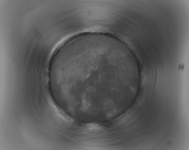 X0000113080392200909111008