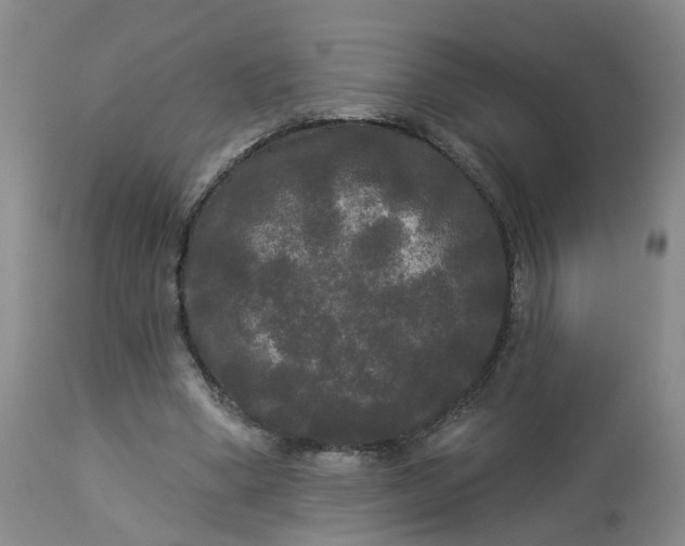 X0000113080394200909111008