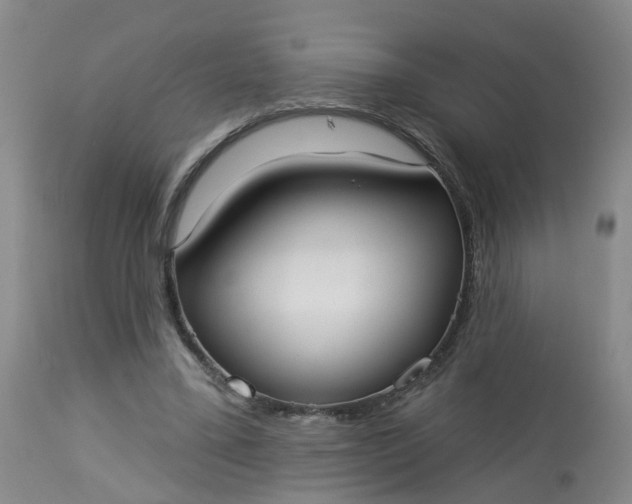 X0000113080395200909111008