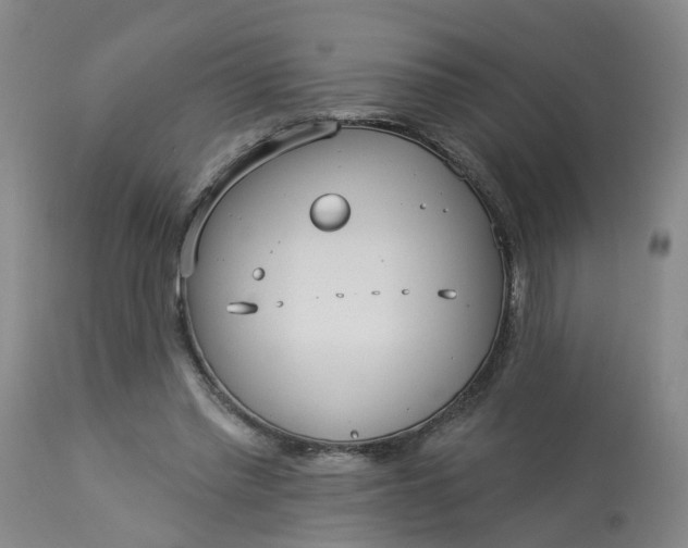 X0000113080397200909111008