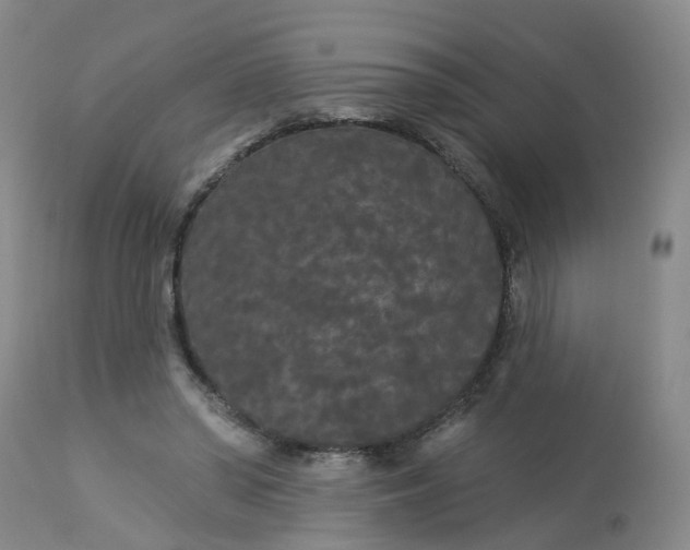 X0000113080398200909111008