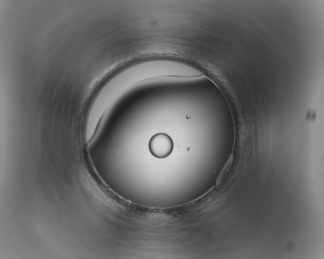 X0000113080399200909111008