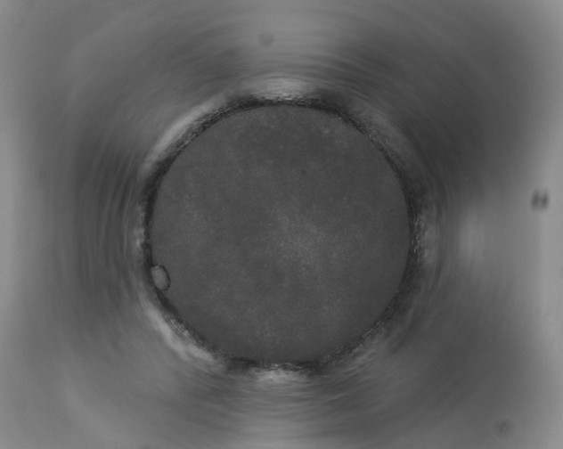 X0000113080400200909111008