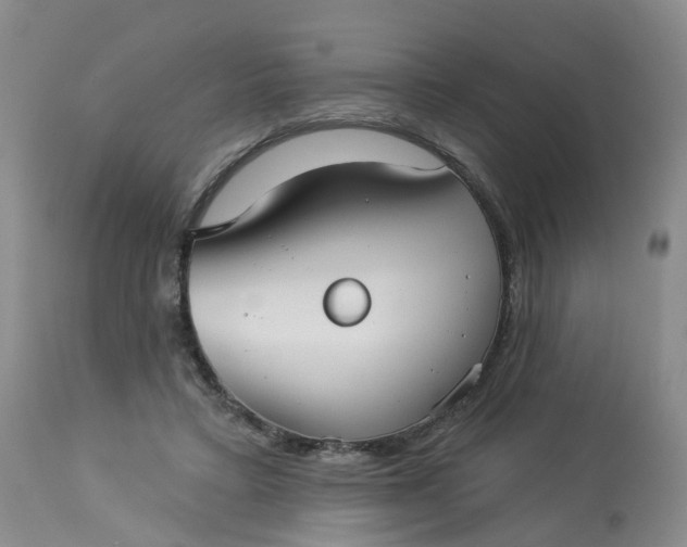 X0000113080403200909111008