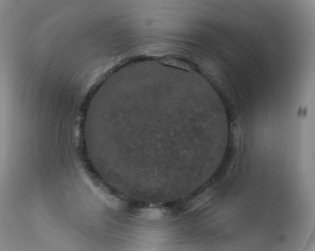 X0000113080404200909111008