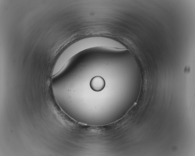 X0000113080405200909111008