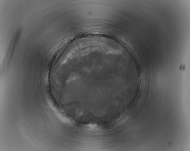 X0000113080406200909111008