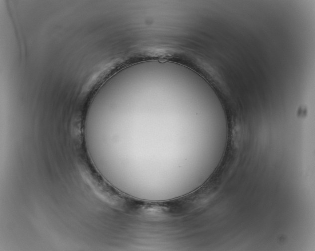 X0000113080407200909111008