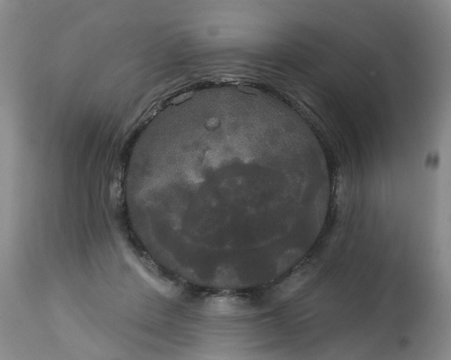 X0000113080408200909111008