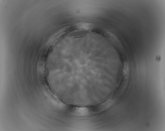 X0000113080409200909111008