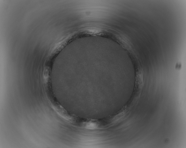 X0000113080412200909111008