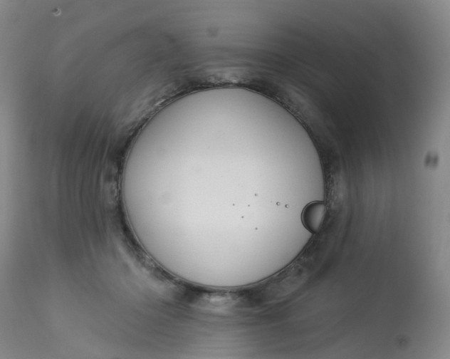 X0000113080414200909111008