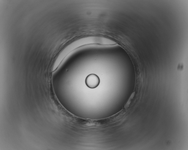 X0000113080415200909111008