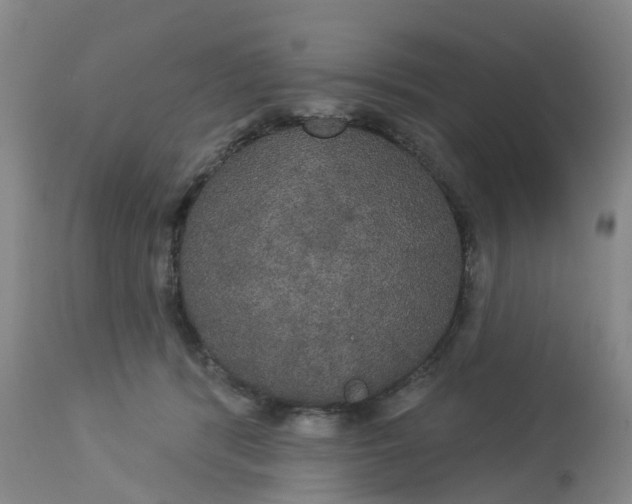 X0000113080416200909111008