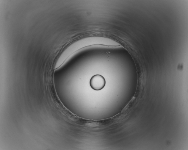 X0000113080417200909111008