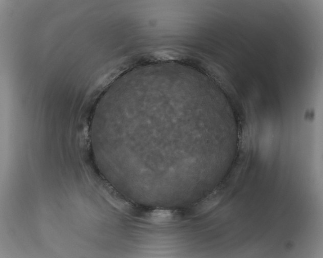 X0000113080418200909111008