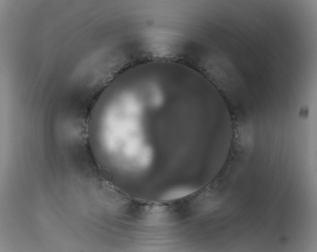 X0000113080419200909111008