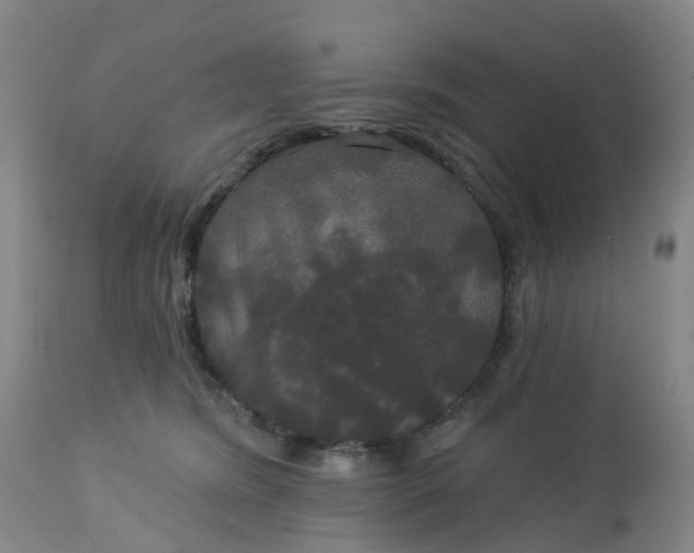 X0000113080420200909111008