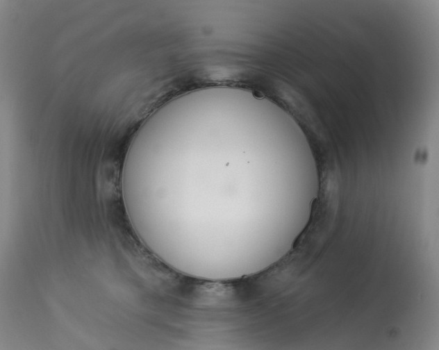 X0000113080421200909111008