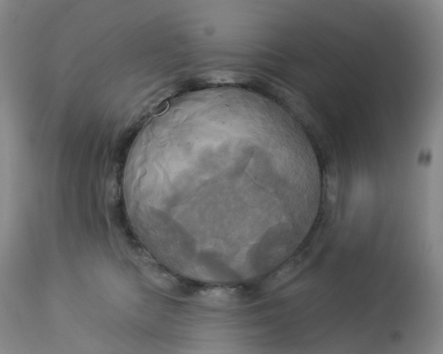 X0000113080422200909111008