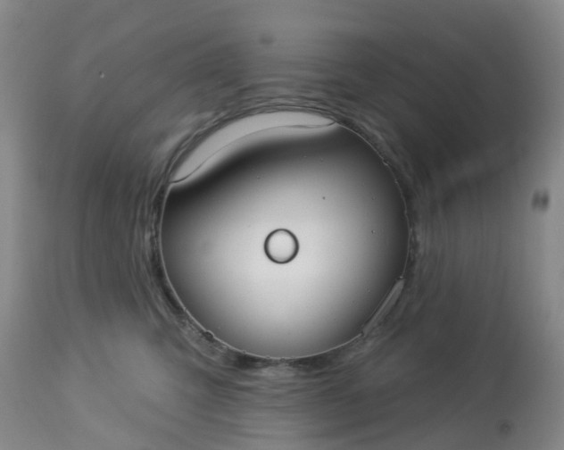 X0000113080423200909111008