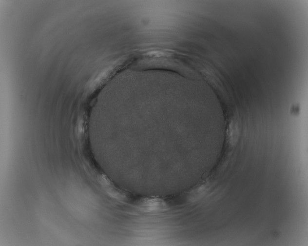 X0000113080424200909111008