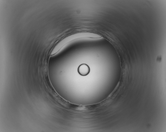 X0000113080425200909111008