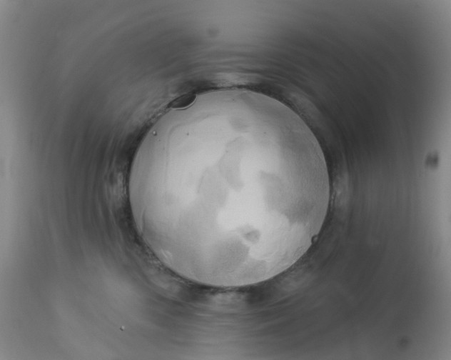 X0000113080426200909111008