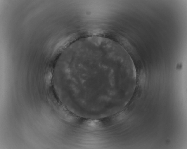 X0000113080427200909111008